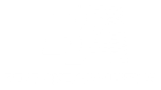 Bespoke Acoustics