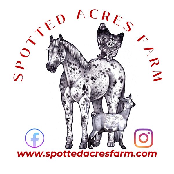 Logo of Spotted Acres Farm with a horse and foal illustration.