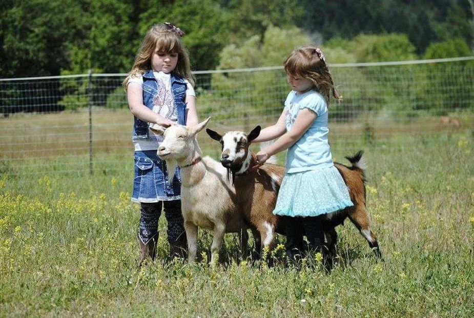 Greg & Kelly's two daughters and their matriarch goats Pudding and Sundae.