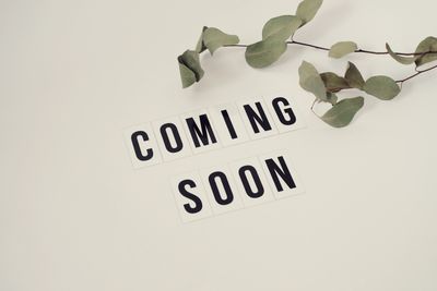 Letters spell out 'COMING SOON' with leaves nearby.
