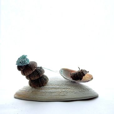 Lil Urchins Studio sculpture — small urchin pulling a clamshell sleigh from beach finds.