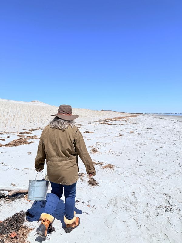 The artist walking a New England beach with her gathering bucket, shore stretching to the horizon.