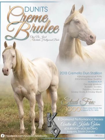 Dunits Creme Brulee Stallion Flyer featuring his pedigree and incentives.