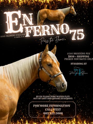 En Ferno 75 Stallion Flyer featuring his pedigree and incentives.