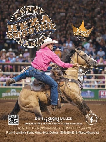 Heza Smoothie Stallion Flyer featuring his pedigree and incentives.