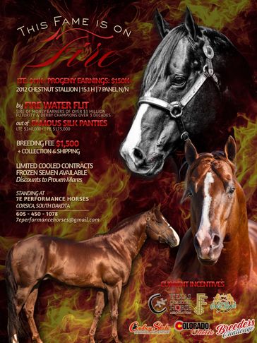 This Fame is On Fire Stallion Flyer featuring his pedigree and incentives.