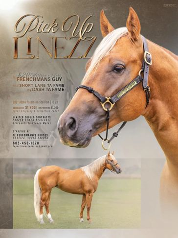 Pick Up Lines Stallion Flyer featuring his pedigree and incentives.