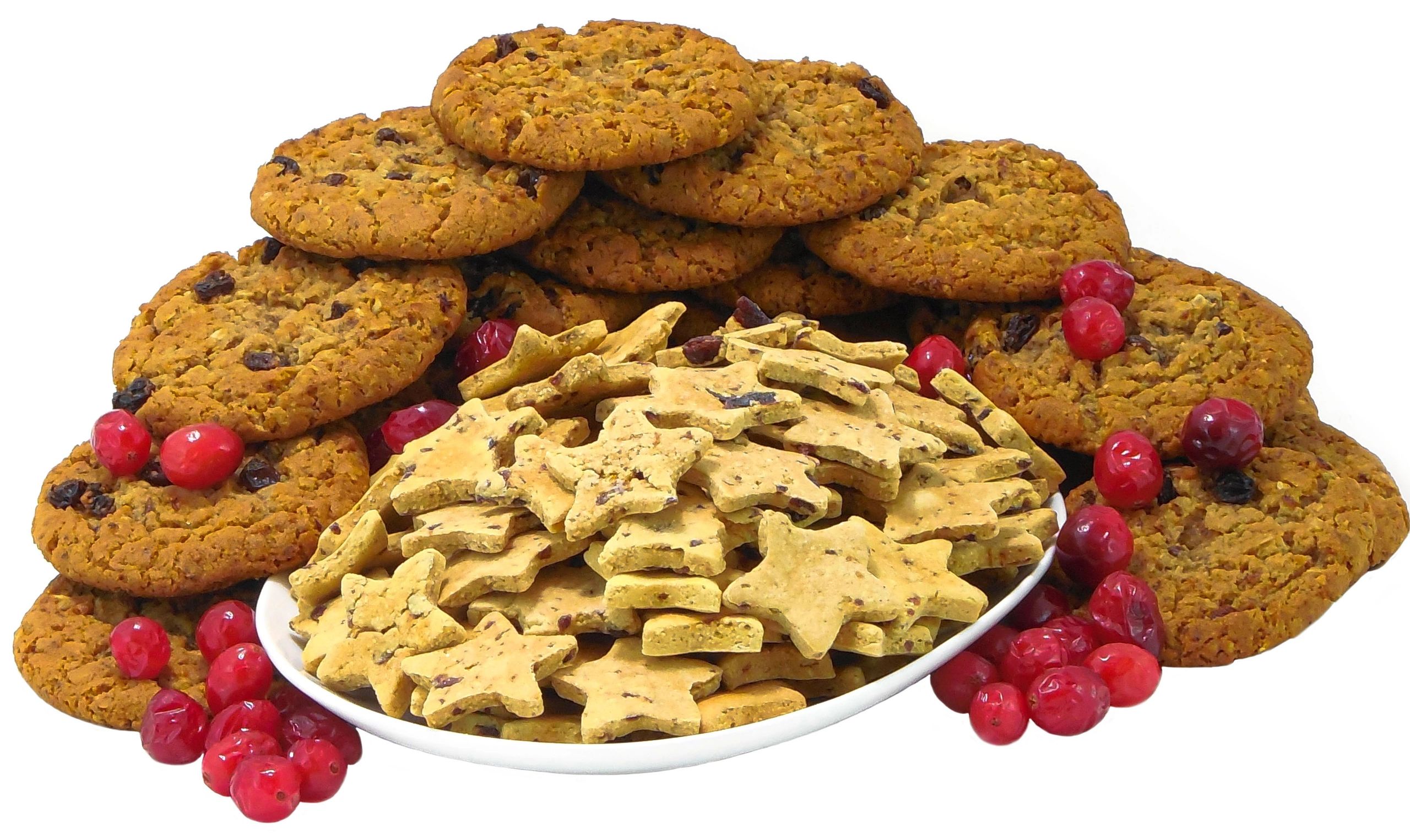 Ike's Cranberry Cookie Gourmet Dog Treats on Sale