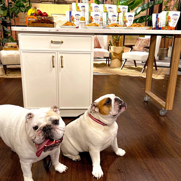 Ike's Gourmet Gourmet Dog Treat Cookies