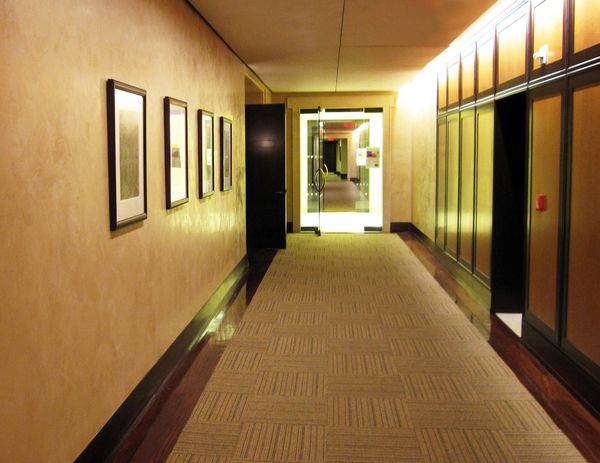 Marmarino plaster, Venetian plaster