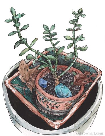 Illustration of a potted succulent plant with decorative stones and a brown leaf.