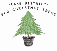 Lake District Eco Christmas Trees