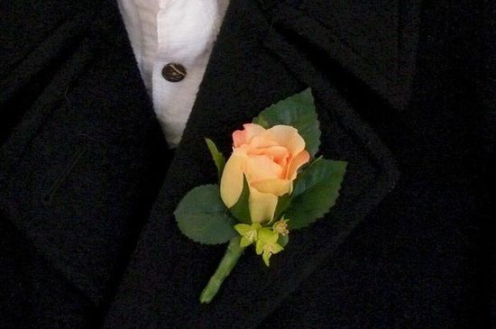 //img1.wsimg.com/isteam/ip/4613f36b-2511-463e-93e1-eddc027fffd6/Peach%20Boutonierre-9ce7b97.jpg/:/rs=w:1300,h:800