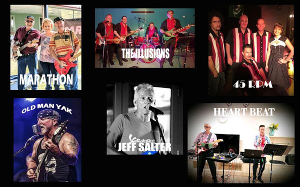 Selection of bands for our Friday Night Social Dance Parties.