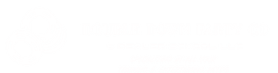 Double Down Party Co & Dealer School
