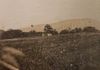 Isenburg Ranch / Waialae C. C. 18th