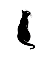 Black Cat Tails Boutique