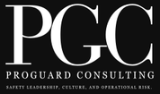 ProGuard Consulting 