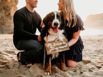 pet wedding day care