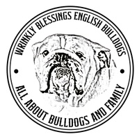 Wrinkly Blessings English Bulldogs