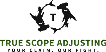 True Scope Adjusting