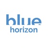 Blue Horizon Ventures