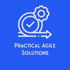 Practical Agile Solutions