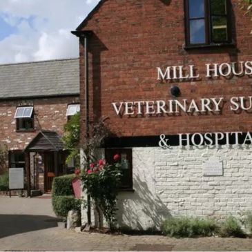 Veterinary animal centre AC Kings Lynn