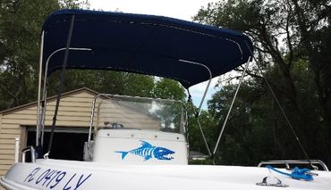 Bimini Top