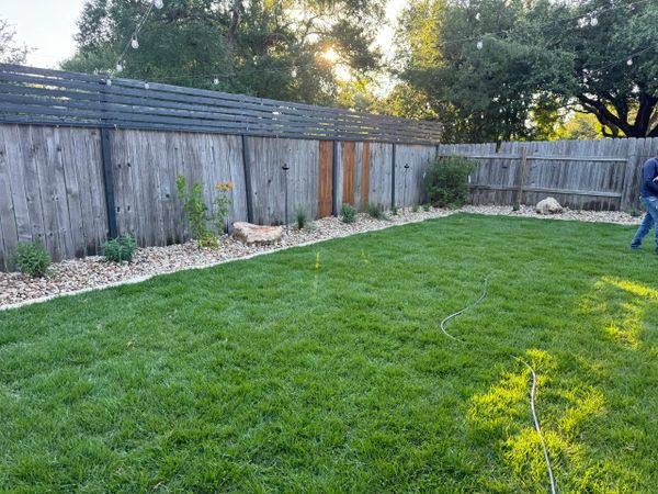 backyard landscaping fencing, natural grass and plant garden 