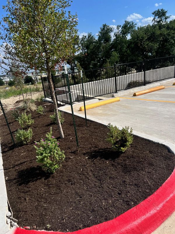 Landscaping natural trees and plants  