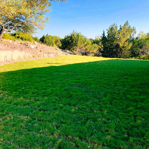 back yard natural green grass water saving irrigation 