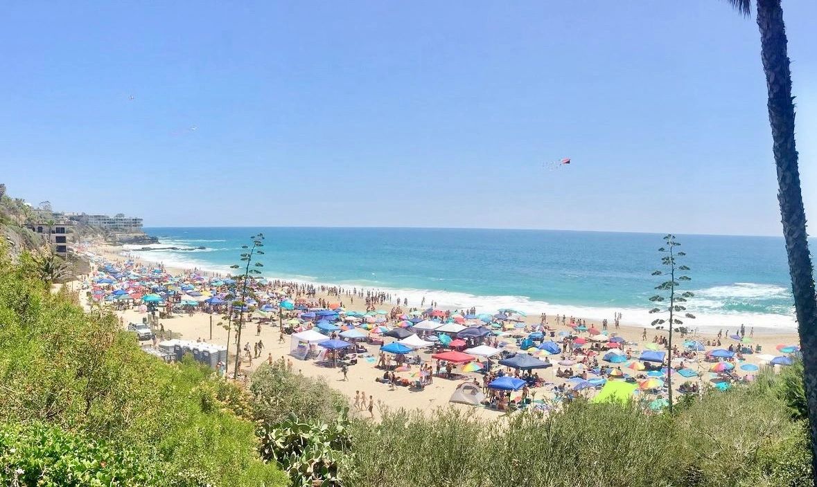 OC Services Directory