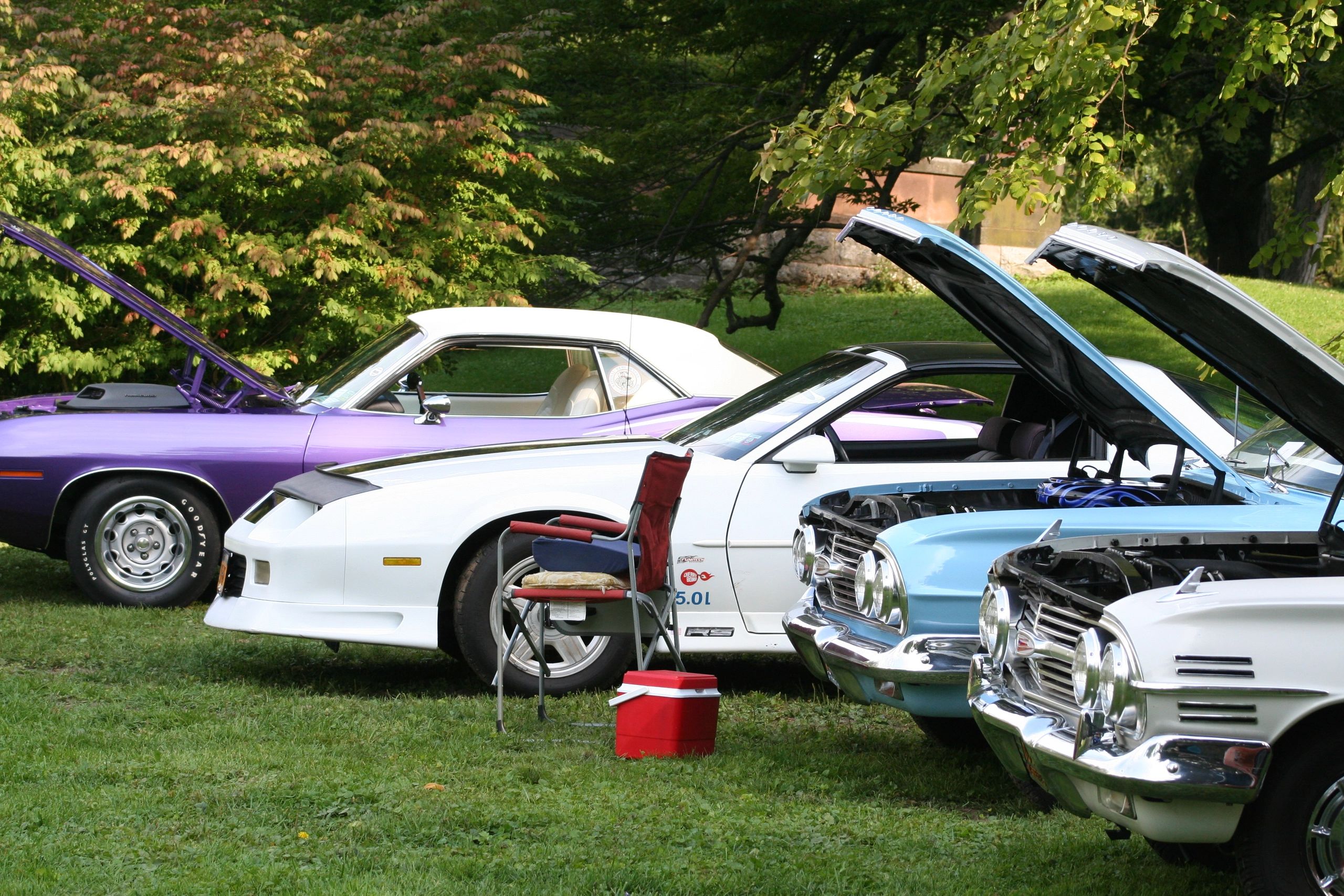 Fingerlakes Cruise & Shows