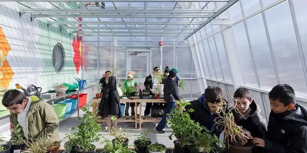 Children examining plants in groups in their greenhouse classroom. 