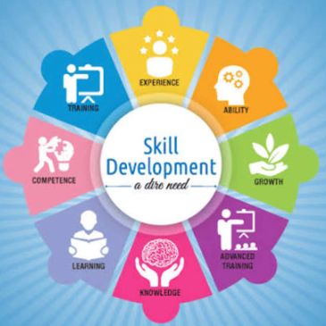 Circular infographic showing key elements of skill development.
