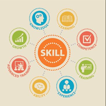 Infographic showing elements of skill development.