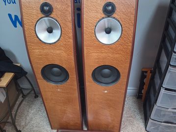 DIY Custom Speakers