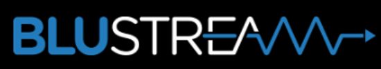 Blusteam Logo