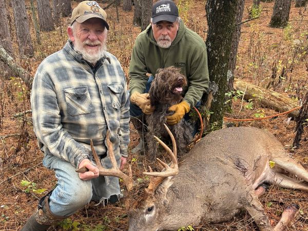 Two men with a hunting dog pose next to a deer they hunted in the forest.