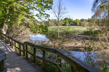 Rattray March, conservation Park, Mississauga, Ontario.