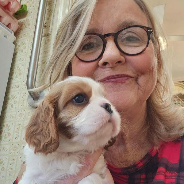 Lisa holding a blenheim Cavalier King Charles Spaniel puppy