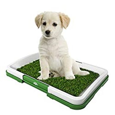 KOOLTAIL Dog Mat for Food and Water Bowls