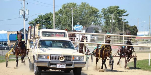 At our organization, we take great pride in our commitment to the repurposing of standardbred race h