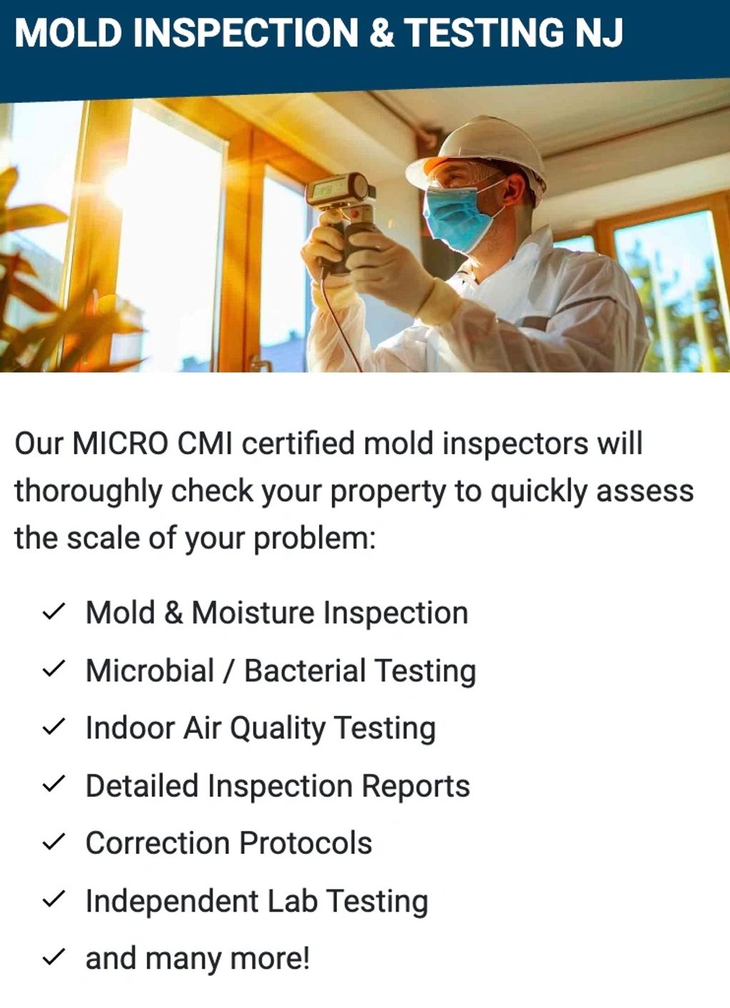 certified mold inspectors from Mr. Task Force shown inside a modern New Jersey home.