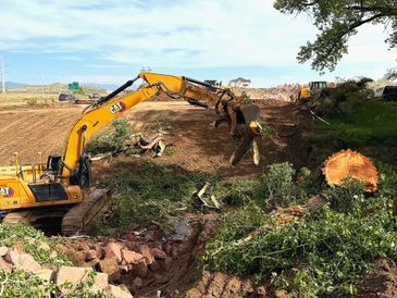 Excavator clearing tree debris on a construction site under a blue sky.
