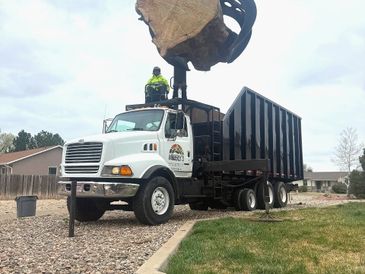 Large tree trunk being lifted into a truck by machinery.