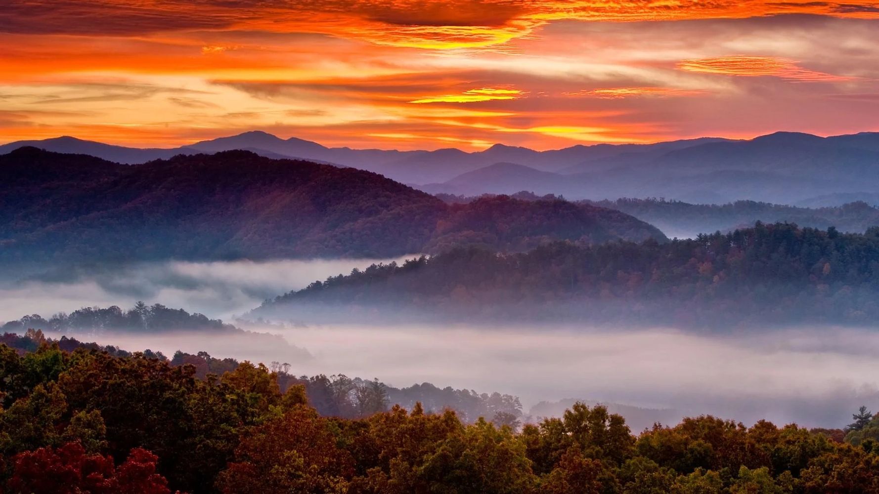 Welcome to Friendship Force of Knoxville

A World of Friends is a World of Peace