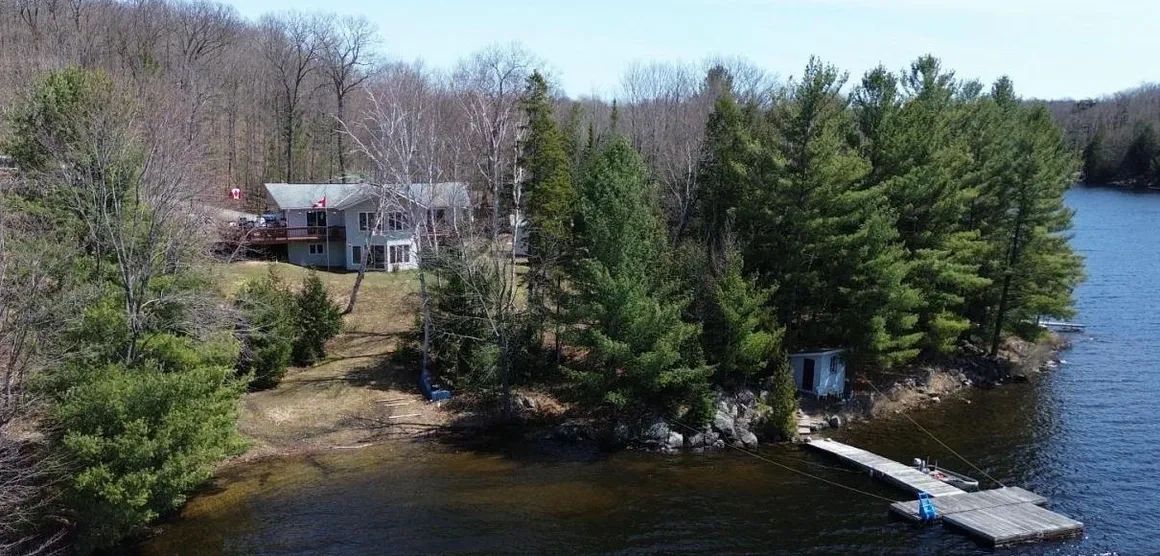 Lakeside house with dock and trees.