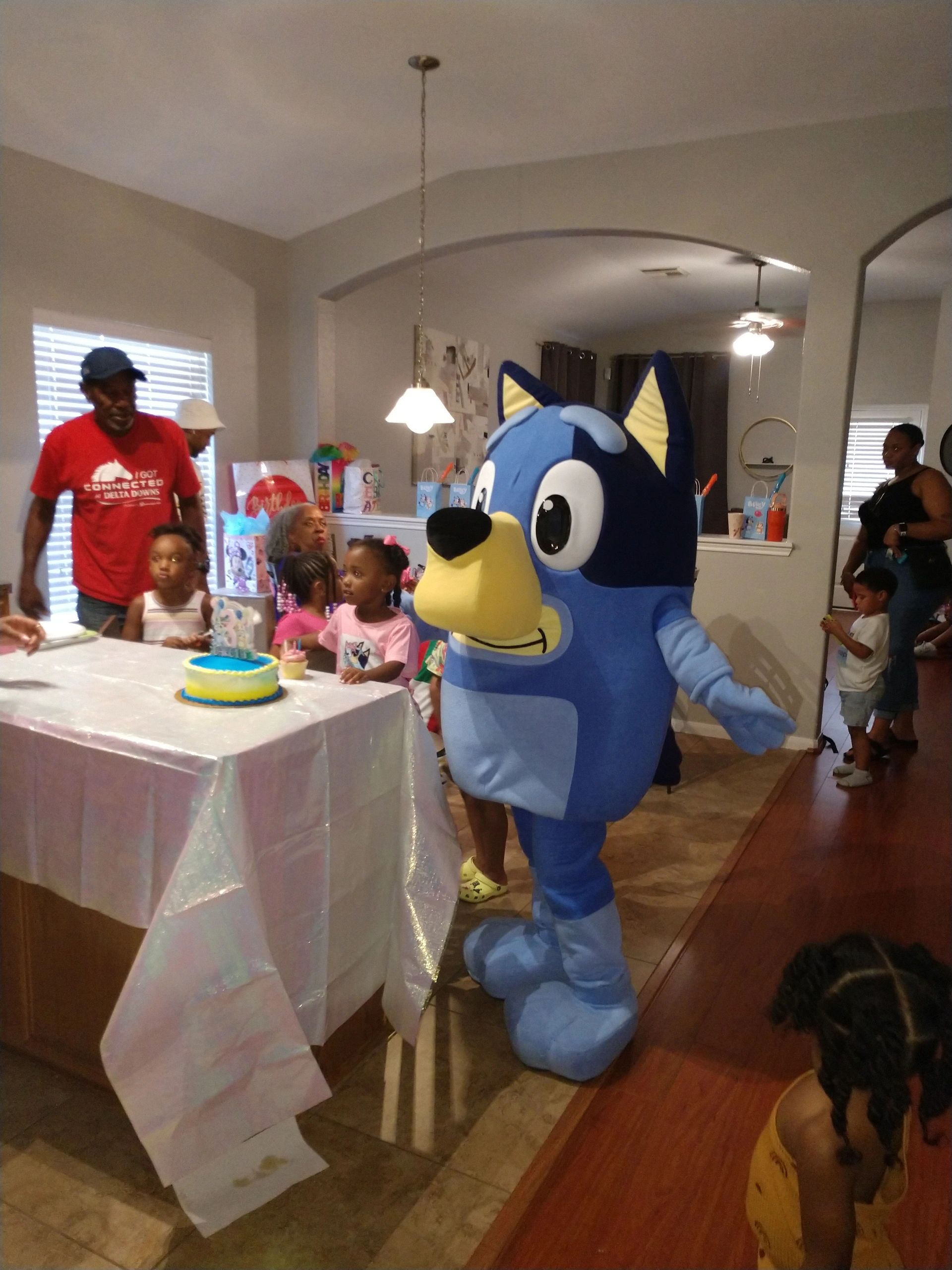 Houston Mascot Party Characters - Kids Party Experts